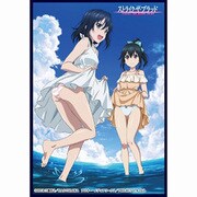 クロックワークス スリーブコレクションvol.4 ストライク・ザ・ブラッド 姫柊 雪菜＆暁 凪沙 [トレーディングカード用品]