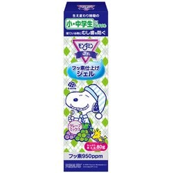 モンダミンJr フッ素仕上げジェル グレープミックス味 80g [液状ハミガキ]