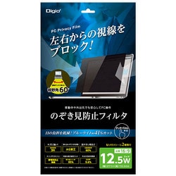 12.5インチワイド用 のぞき見防止 保護フィルム SF-FLGPV125W