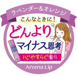 ヨドバシ Com 近江兄弟社 メンターム アロマリップ ラベンダー オレンジ リップクリーム 4g 通販 全品無料配達