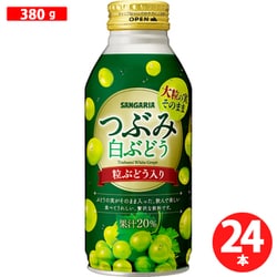 つぶみ白ぶどう ボトル缶 380g×24本
