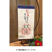 7NSP8302 [2019 ダルマ DARUMA カレンダー]