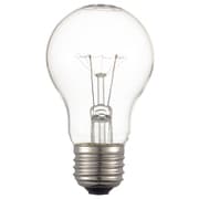 耐振電球 20W クリア TA-55620C