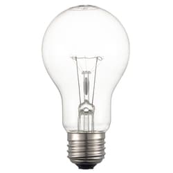 耐振電球 100W クリア TA-606100C