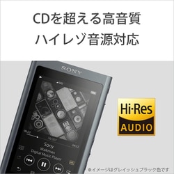 SONY ウォークマン NW-A55 16GB グレイッシュブラック