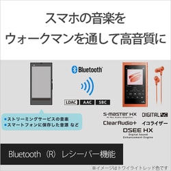 ヨドバシ Com ソニー Sony Nw A55 B ポータブルオーディオプレーヤー Walkman ウォークマン A50シリーズ 16gb ハイレゾ音源対応 グレイッシュブラック 通販 全品無料配達