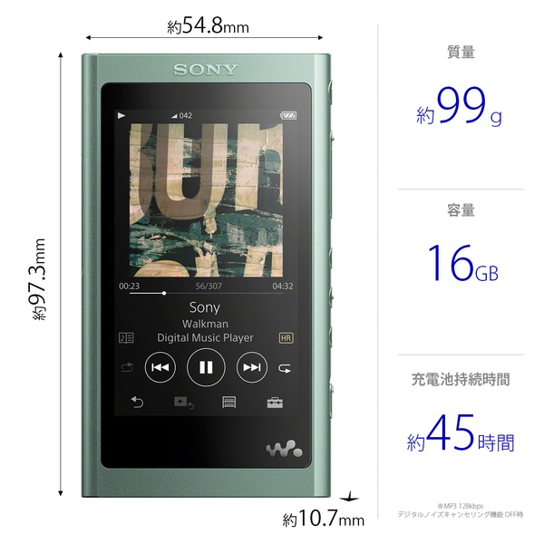 海外正規品】 ソニー ウォークマン Aシリーズ 16GB NW-A55 : MP3