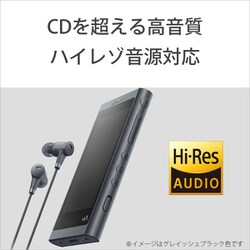 ヨドバシ.com - ソニー SONY NW-A55HN N [ポータブルオーディオ