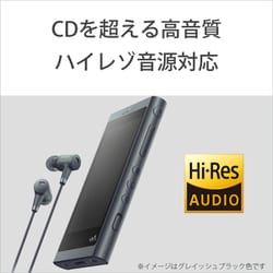 ヨドバシ.com - ソニー SONY NW-A55HN G [ポータブルオーディオ