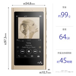 ヨドバシ.com - ソニー SONY NW-A57 N [ポータブルオーディオ