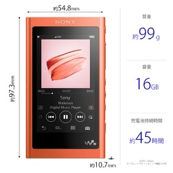 ヨドバシ.com - ソニー SONY NW-A55WI R [ポータブルオーディオ ...
