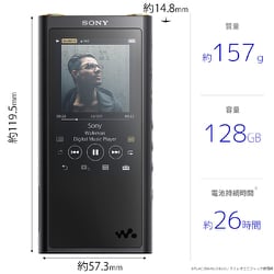 ソニー SONY NW-ZX300G B [ポータブルオーディオ - ヨドバシ.com