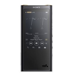 SONY NW-ZX300