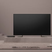 ヨドバシ.com - ソニー SONY DST-SHV1 [地上・BS4K・110度CS4Kチューナー] 通販【全品無料配達】