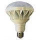 LTE39-50W [投光器用LED電球 50W]