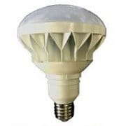 LTE39-50W [投光器用LED電球 50W]