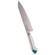 龍治 ステンカラー 牛刀 21cm ブルー ALY8812