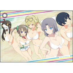 ヨドバシ.com - コンテンツシード 閃乱カグラ PEACH BEACH SPLASH 合皮 ...