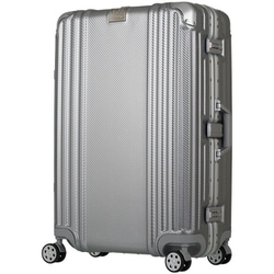 ヨドバシ Com ティーアンドエス Legend Walker 5507 48sl スーツケース Pc Absボディ 48cm 旅行日数目安 1 2泊 35l Tsaロック搭載 機内持ち込み可 シルバー 通販 全品無料配達