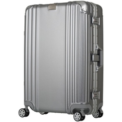 スーツケース 旅行日数目安：2～3泊 51L TSAロック搭載 PC＋ABSボディ 57cm シルバー 5507-57SL