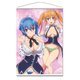 ハイスクールD×D HERO B2タペストリーA ゼノヴィア＆イリナ [キャラクターグッズ B2サイズ]
