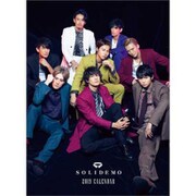 CL-326 [カレンダー 2019 SOLIDEMO (ソリディーモ)]