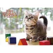 CL-362 [カレンダー 2019 子猫のマンチカン (祝日訂正シール付き)]
