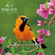 CL-372 [カレンダー 2019 美しき野鳥の世界 (祝日訂正シール付き)]