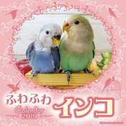 CL-374 [カレンダー 2019 ふわふわインコ (祝日訂正シール付き)]