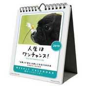 CL-378 [カレンダー 2019 人生はワンチャンス！]