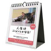 CL-379 [カレンダー 2019 人生はニャンとかなる！]