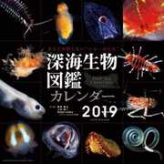 CL-387 [カレンダー 2019 深海生物図鑑]