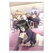 戦姫絶唱シンフォギアXD UNLIMITEDビジュアルアクリルプレート未来バースデー2017響クリス未来 [キャラクターグッズ A5]