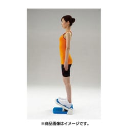 DANNO ダンノ　淡野製作所　１６kg　鉄アレイ　1本　② 楽天市場】【マラソン開始28h限定 全商品5%OFFクーポン