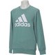DJP50 CX3360 J/L M [ESS ENTIALS ライトクルーネックスウェット]