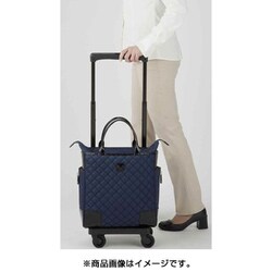 極美品！Swany D-329 スタルト 4輪ストッパー 折り畳みトートバッグ ヨドバシ.com - スワニー D-329 スタルト 4輪ストッパー