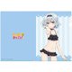 りゅうおうのおしごと！ A4クリアファイル 銀子 [キャラクターグッズ]