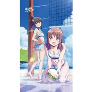 はるかなレシーブ マルチタペストリーのれん [キャラクターグッズ 約85×約150cm]