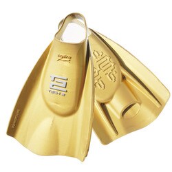 201179 [TECH2FIN SWIN GOLD M]