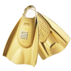 201180 [TECH2FIN SWIN GOLD ML]