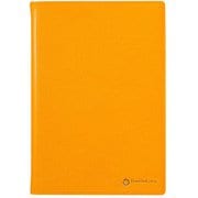 ダイアリー A5 1日1ページ ガーラ 2019年1月始まり オレンジ 64196