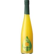 九州果実シロップ 甘夏 500ml