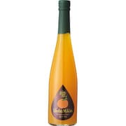 九州果実シロップ 温州みかん 500ml