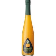 九州果実シロップ 桜島小みかん 500ml