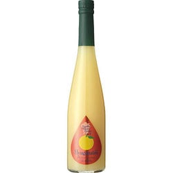 九州果実シロップ 日向夏 500ml