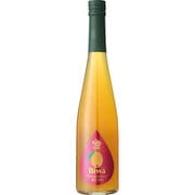 九州果実シロップ びわ 500ml