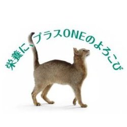 ヨドバシ.com - ピュリナ PURINA ネスレ日本 ピュリナワン キャット