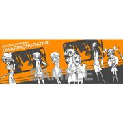 ＜物語＞シリーズ スポーツタオル 終物語 3 リメイクVer. [キャラクターグッズ]