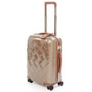 スーツケース 2層式ダブルファスナー 旅行目安:1泊~2泊 35L シャンパン 3-9894-55-150