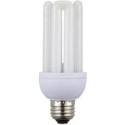 LED電球 D形 100形相当 E26 昼光色 断熱材施工器具対応 LDF13D-G-E26